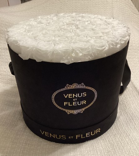 Composizione fioriera venus - composizione,